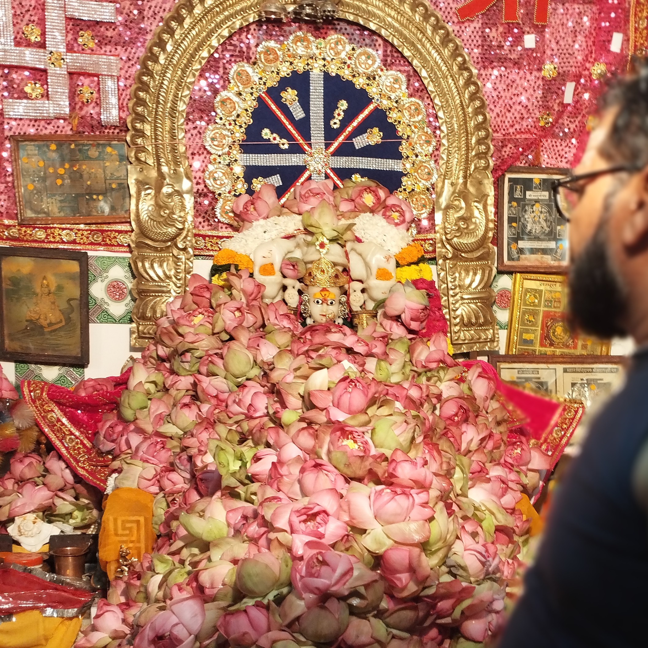 Hemendra Bohra Shrimali